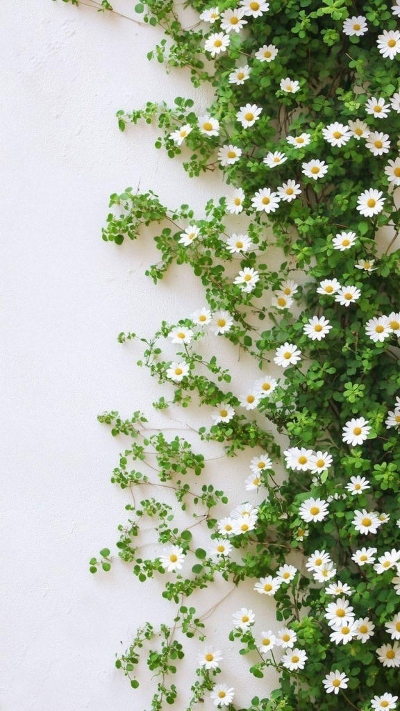 30 Cute & Aesthetic Wallpaper 5
