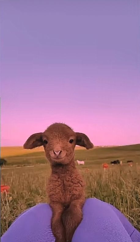 30 Cute & Aesthetic Wallpaper 10