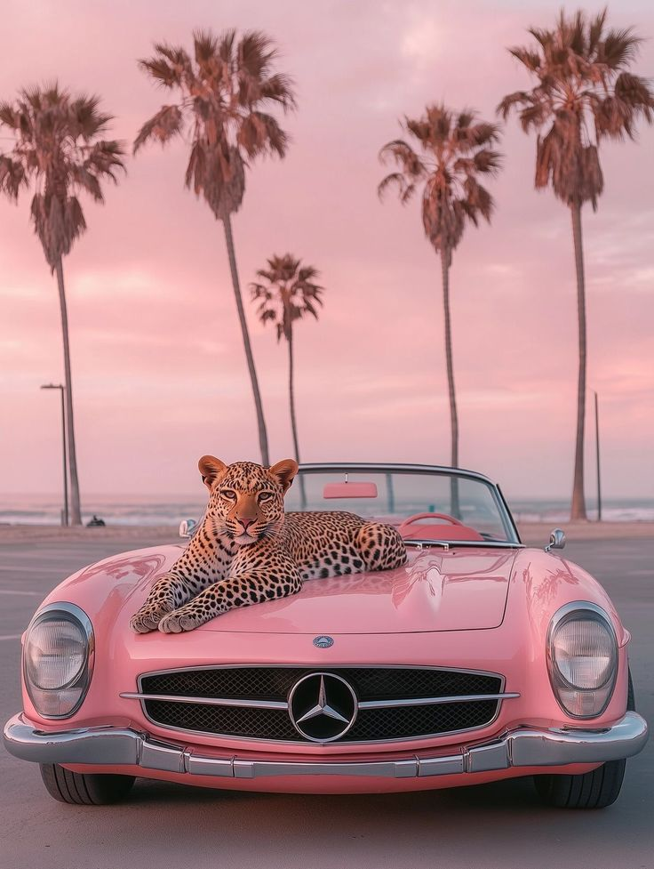 30 Cute & Aesthetic Wallpaper 13