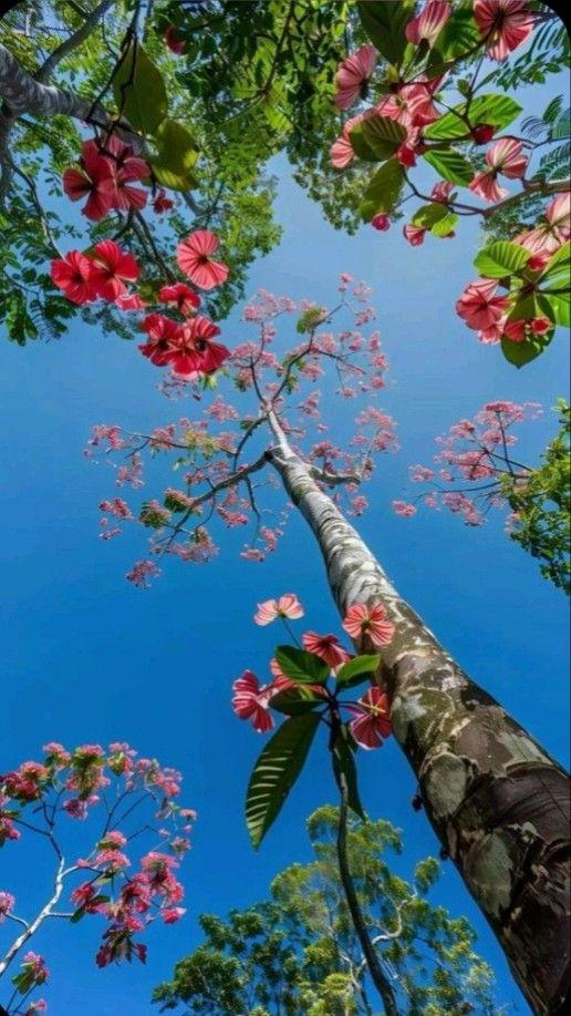 30 Cute & Aesthetic Wallpaper 21